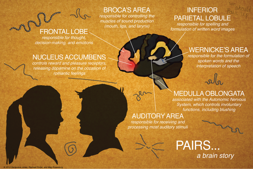 PAIRS...a brain diagram